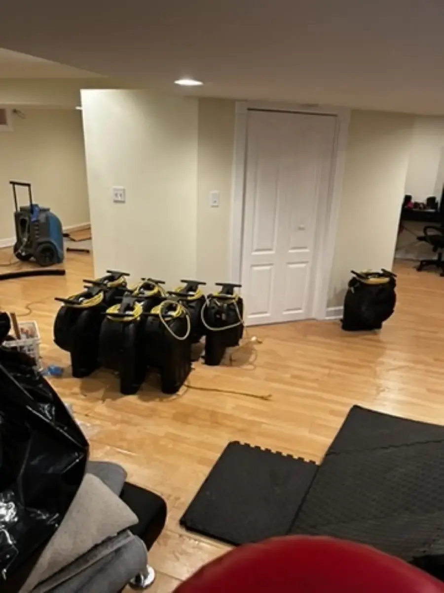 Rows of drying equipment staged on a basement floor near a doorway