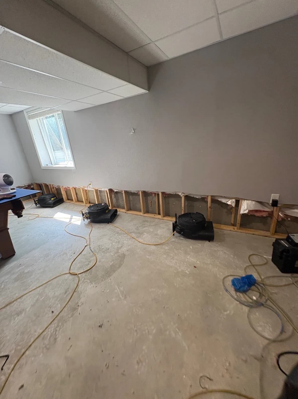Basement drywall flood cut at one level height with air movers along the wall