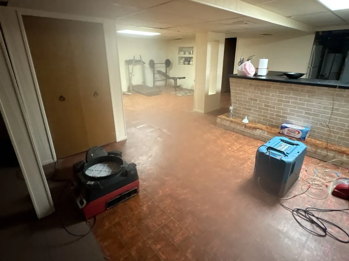 Air mover and dehumidifier drying a finished basement, Sterling Heights job