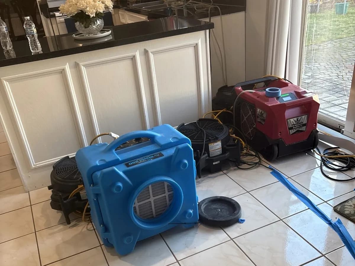 Drying equipment set along kitchen cabinets, Sterling Heights job