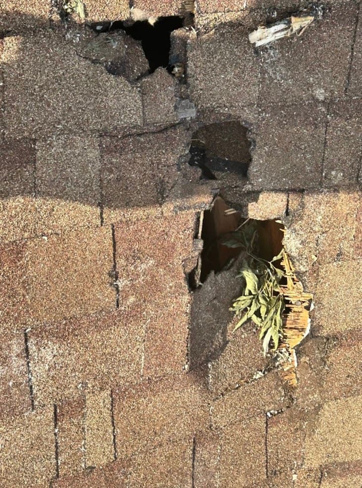A section of asphalt shingles torn loose and lifted away from the roof deck