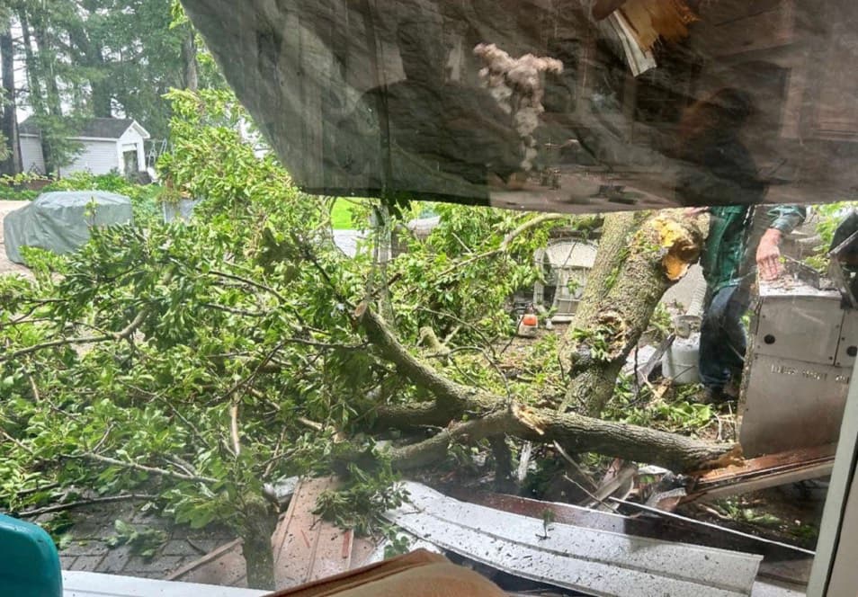 A fallen tree limb resting through a broken section of roof decking